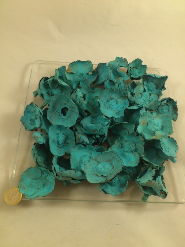 Coco flower 250 gr.  azure